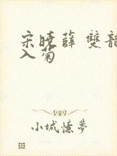 宋晓薛 双龙齐入菊