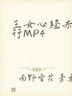 玉女心经赤裸修行MP4