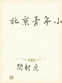 北京青年小说