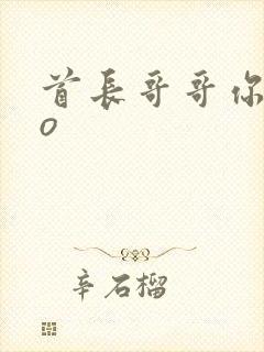 首长哥哥你好po