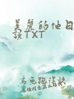 美丽的他日剧小说TXT