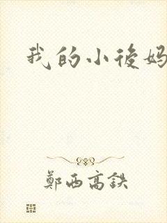 我的小后妈小说