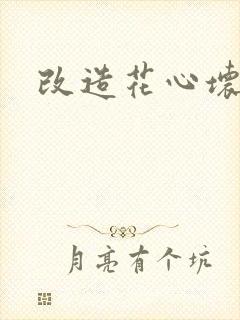 改造花心坏相公