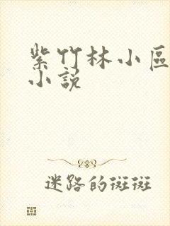 紫竹林小区快递小说