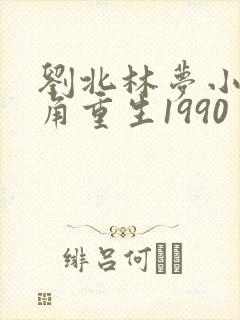 刘北林梦小说主角重生1990