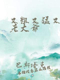 又粗又猛又大爽老大爷