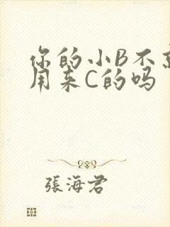 你的小B不就是用来C的吗