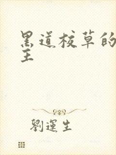 黑道校草的冷公主