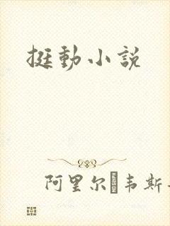挺动小说