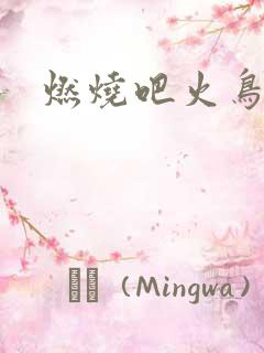 燃烧吧火鸟小说