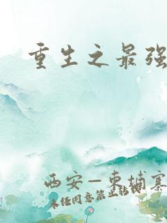 重生之最强英雄