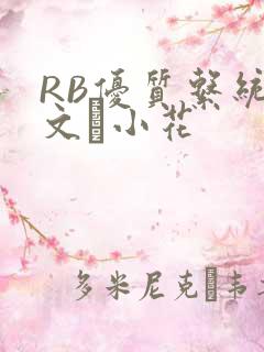 RB优质系统全文寀小花