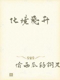 化境飞升