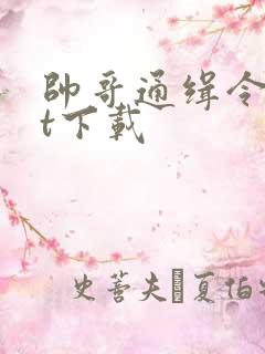 帅哥通缉令txt下载