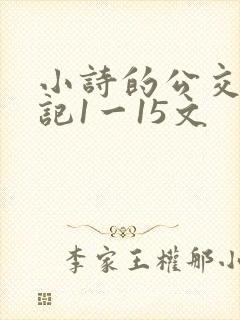 小诗的公交车日记1一15文