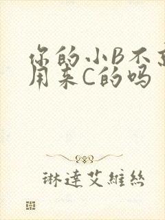 你的小B不就是用来C的吗