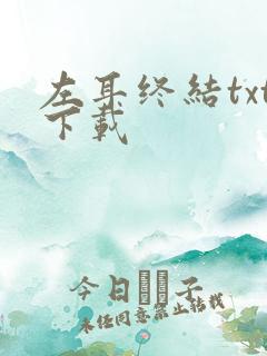 左耳终结txt下载