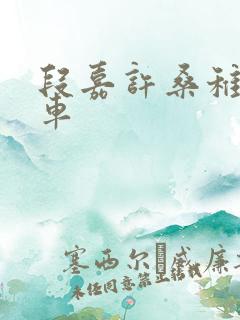 段嘉许桑稚浴室车