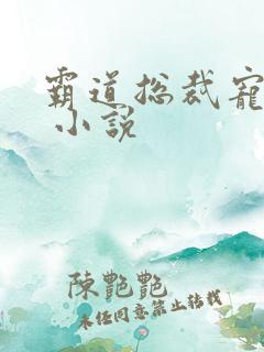 霸道总裁宠上天 小说