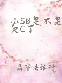 小SB是不是又欠C了