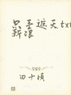 只手遮天txt新浪