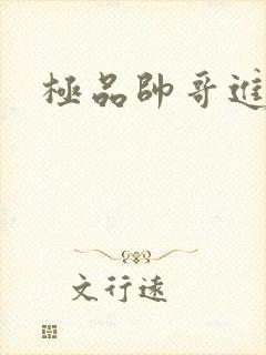 极品帅哥进化史