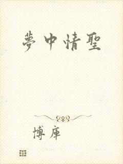 梦中情圣