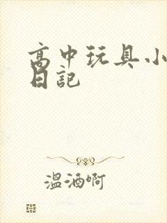 高中玩具小诗的日记
