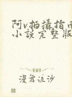 阿v拍摄指南说小说完整版