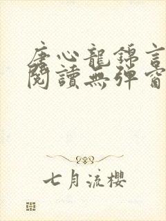 唐心龙锦言免费阅读无弹窗