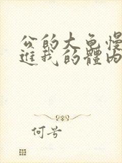 公的大龟慢慢挺进我的体内