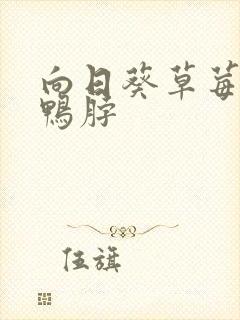 向日葵草莓丝瓜鸭脖