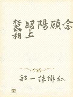 楚昭阳顾念在冰箱上