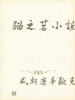 猫之茗小说