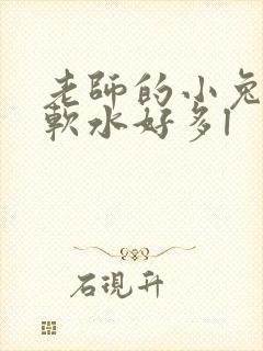 老师的小兔子好软水好多l
