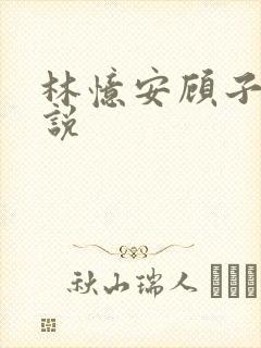 林忆安顾子铭小说