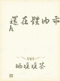 还在体内乖吃饭h