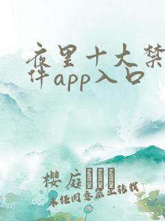 夜里十大禁用软件app入口