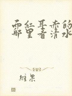 面红耳赤的小说哪里看清水村花