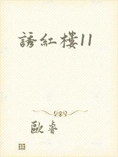 诱红楼11