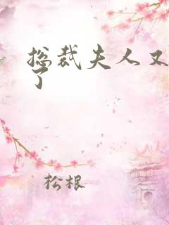 总裁夫人又征婚了