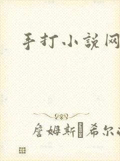 手打小说网