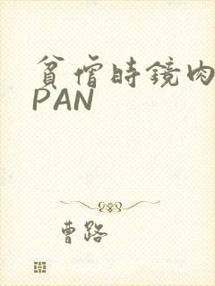 贫僧时镜肉补全PAN