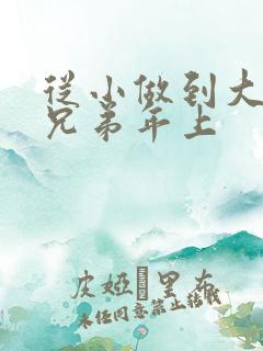 从小做到大骨科兄弟年上