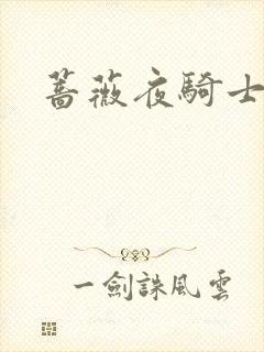 蔷薇夜骑士