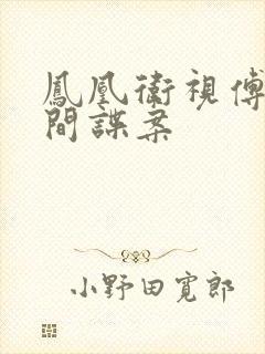 凤凰卫视傅晓田间谍案