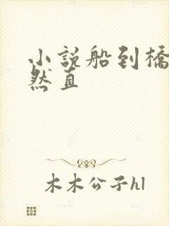 小说船到桥头自然直