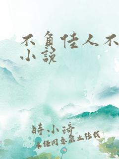 不负佳人不负卿小说