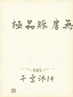 极品账房无弹窗