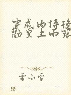 穿成内侍后总在劝皇上雨露均沾